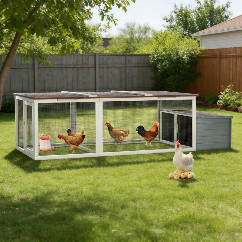 Cage à poulailler en bois 21 pi2 avec poulailler