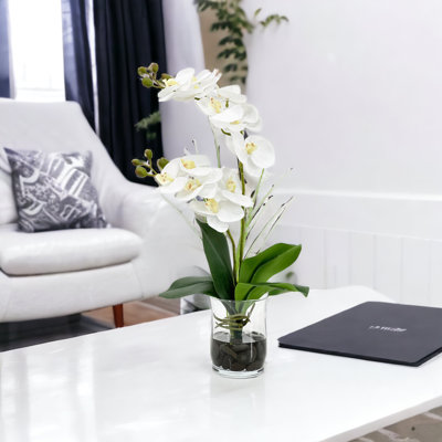 Double orchidée phalaenopsis, arrangement floral