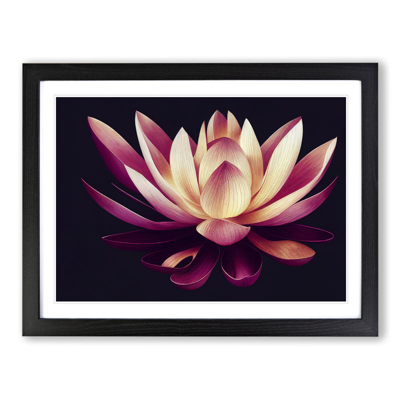 A Striking Lotus Flower 1 Piece Single Picture Frame Wall Art, 25cm H x 34cm W x 2cm D, Black