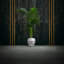 Handmade Planter-52455012