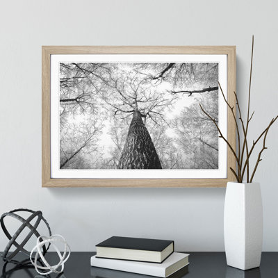 Below the Forest - Picture Frame Painting