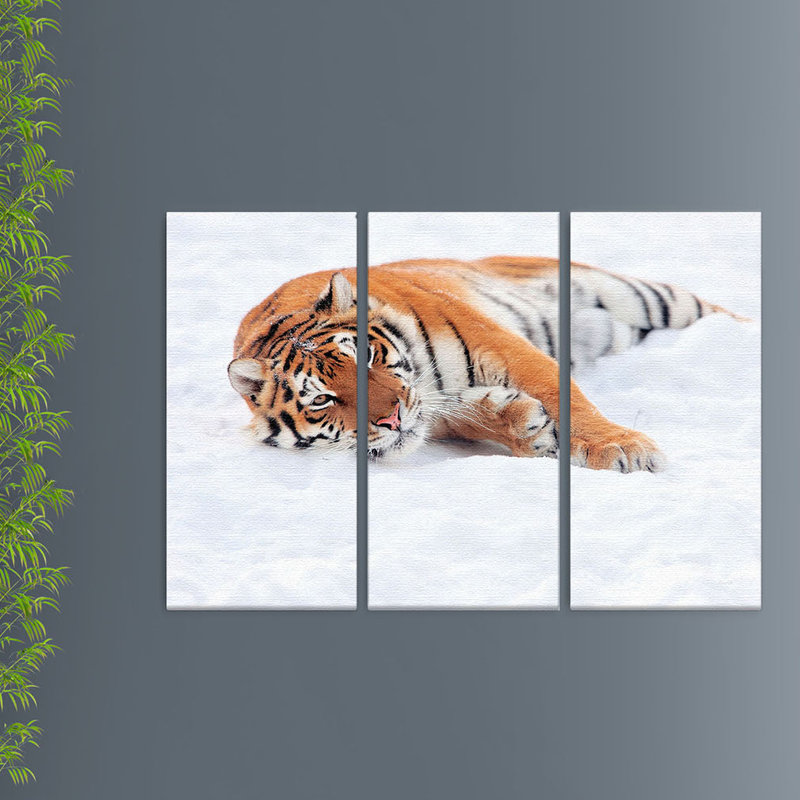 Beauty - Wrapped Canvas Print, 100cm H x 150cm W x 2.5cm D, 1 Piece