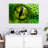 Brampt Green Python Eye-108730982