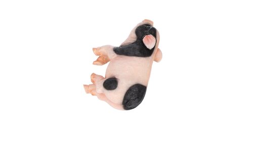 Design Toscano Sleeping Pig Statue & Reviews