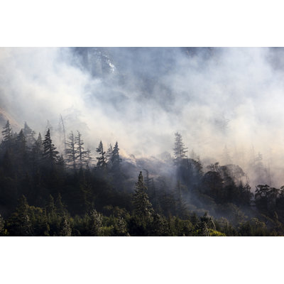 Forest Wildfire Smoke by DaveAlan - Print