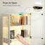 Display Cabinet-1675162303