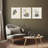 Rock Garden Framed Art