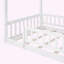 Lit Shelocta-88116934-88116932