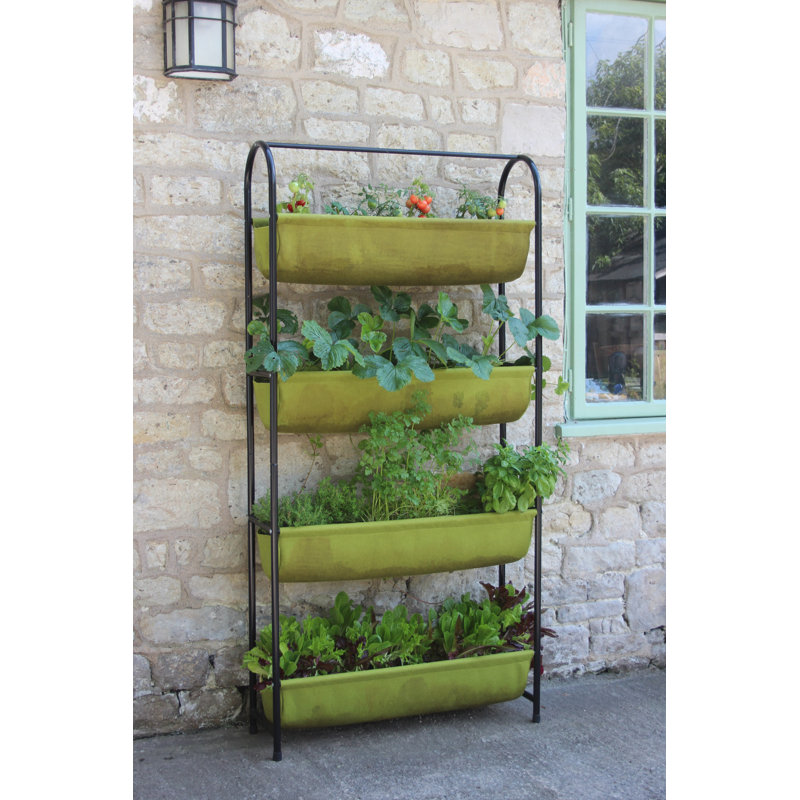 Haxnicks 2.5 ft x 1 ft Vigoroot Balcony Garden Tabyana