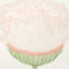 Celinda Floral Non-Woven Wallpaper Roll-790076449
