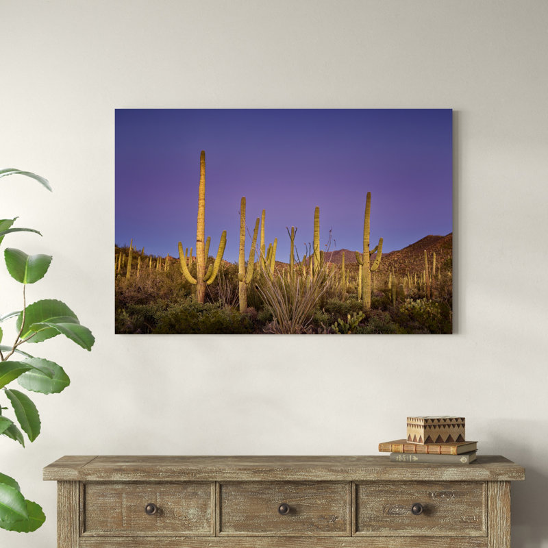 Cactus View I, H 32 po x l 48 po x P 1,25 po