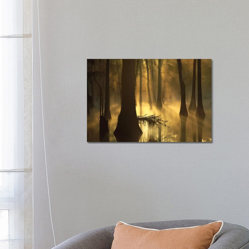 Bald Cypress Grove In Freshwater Swamp At Dawn, Lake Fausse Pointe, Louisiana I by Tim Fitzharris - Wrapped Canvas Print