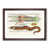 Walnut Framed