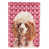 Caniche (brun)
