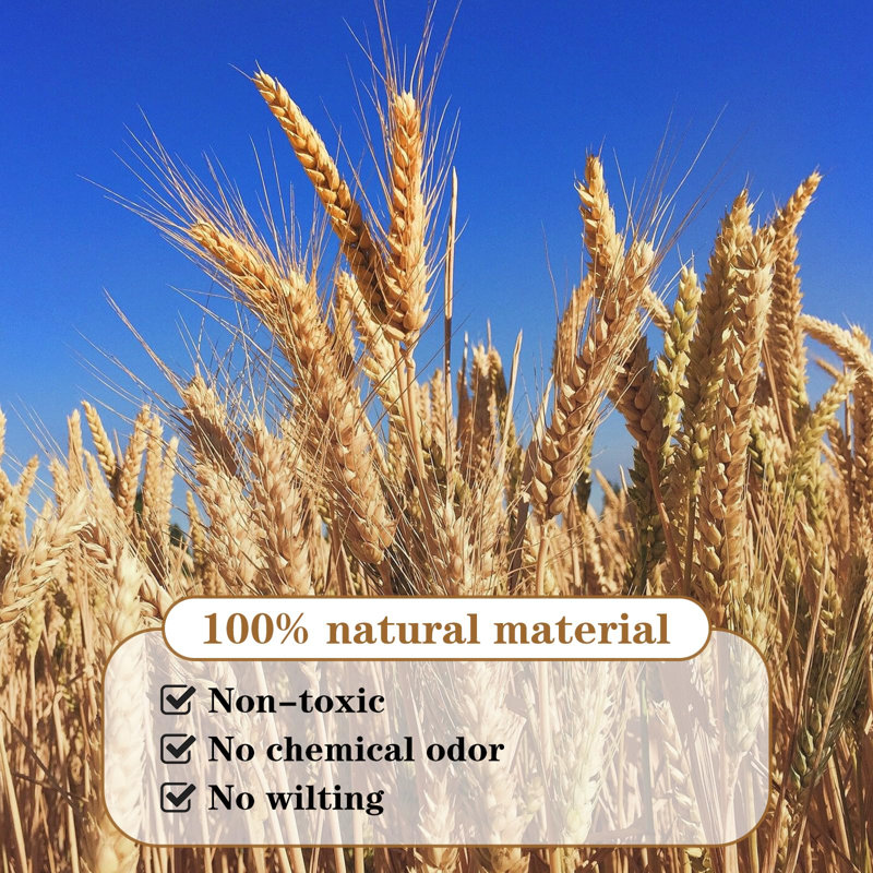Natural Beige Dried Wheat Stalks for DIY Crafts and Decor