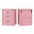 Rose est en rupture de stock