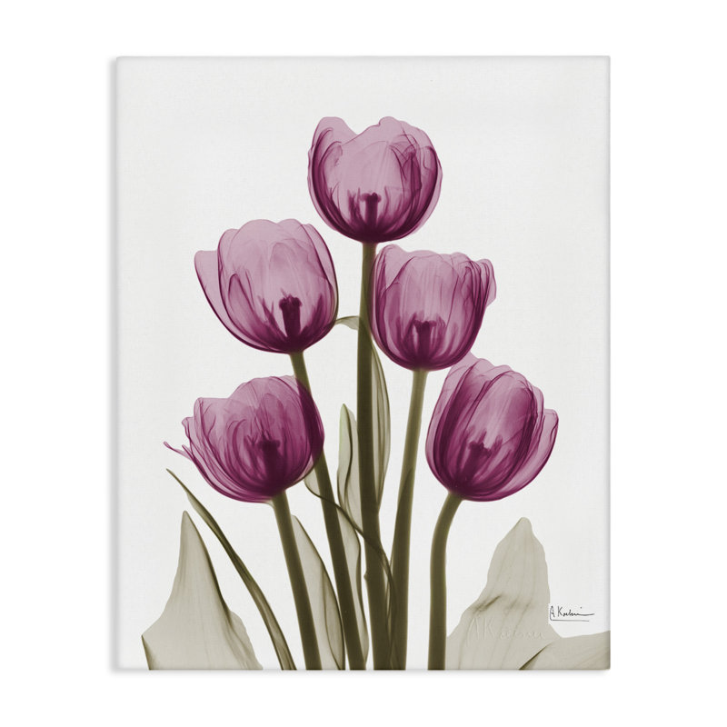 Latitude Run® Pink X-Ray Tulips Canvas Wall Art Design By Albert Koetsier, L 24 po x H 30 po