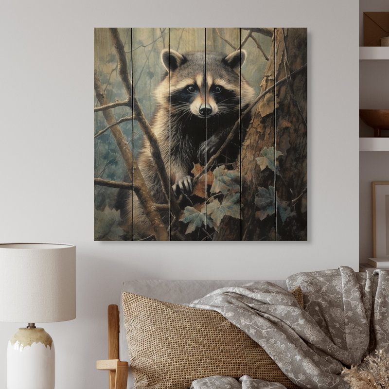 Brinae Racoon Wanderer III sur impression sur bois, H 25 po x l 25 po x P 0,78 po