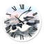 Oiseau australien rétro X - horloge murale traditionnelle-60280189