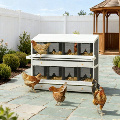 8 Compartment Wood Chicken Nesting Box For Laying Hens, Chicken Coop Laying Boxes