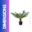 60cm Faux Palm Plant in Freestanding