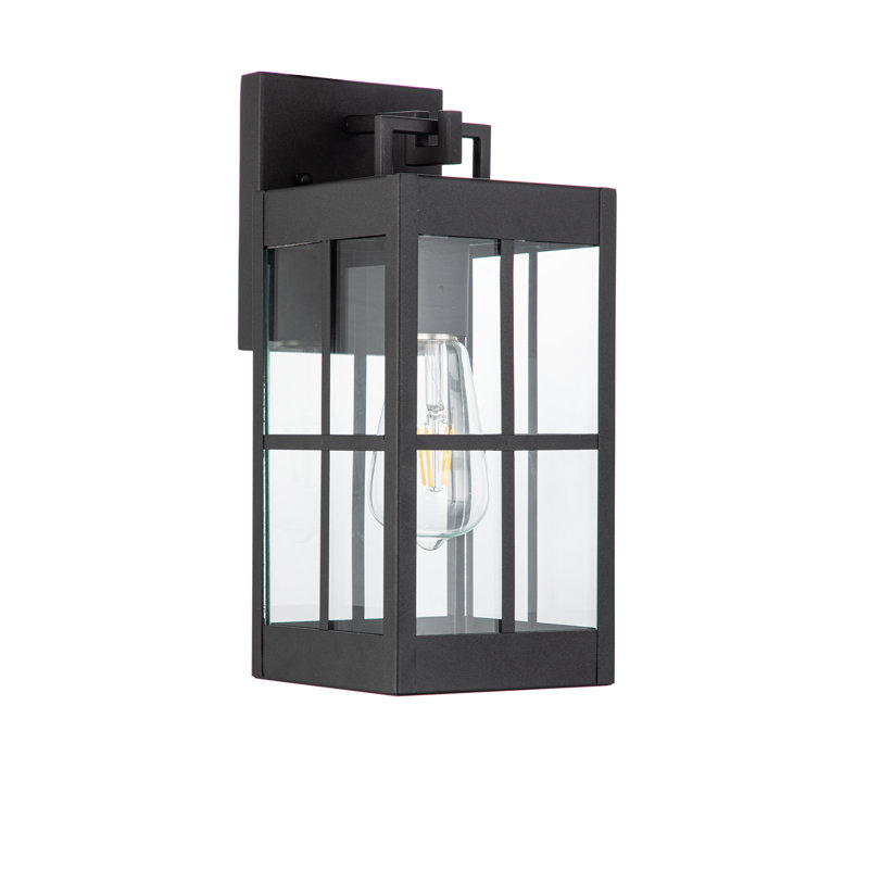 Amara Transitional Outdoor Wall sconces 13-in Clear Glass-Matte Black