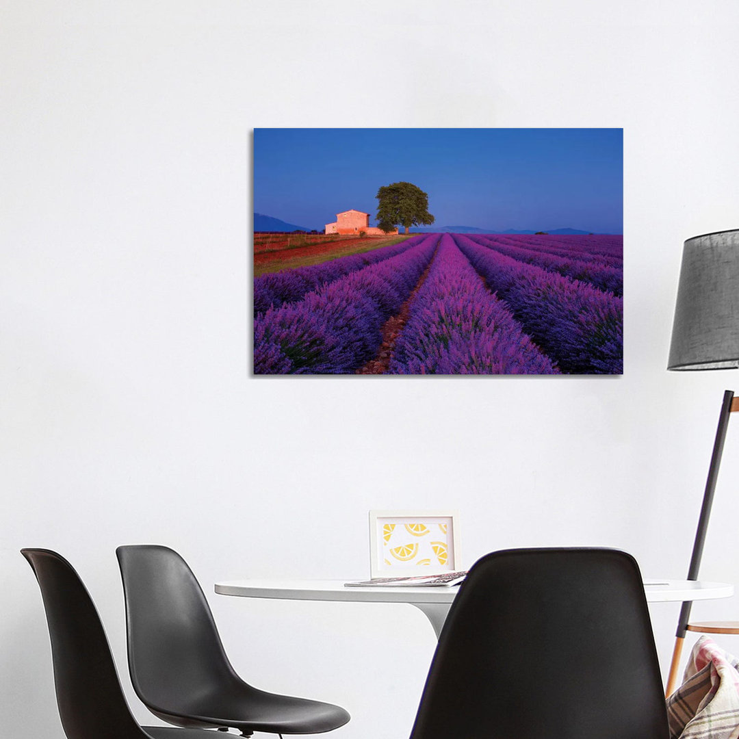 France, Provence. Lavender Field In The Valensole Plateau. by Jaynes Gallery - Wrapped Canvas Print