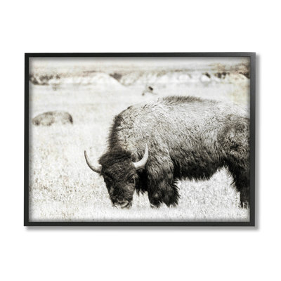 «Bullland Country Farming Country» par Daniel Sproul