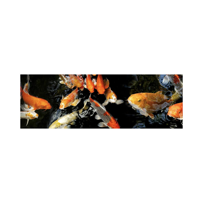 Koi Carp Swimming Underwater #2 - Wrapped Canvas Panoramic Print, 121.92 cm H x 40.64 cm W x 1.91 cm D