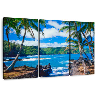 Gillard Maui Coastal Palms