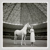 Model With Horse Giclee Print by Franco Rubartelli