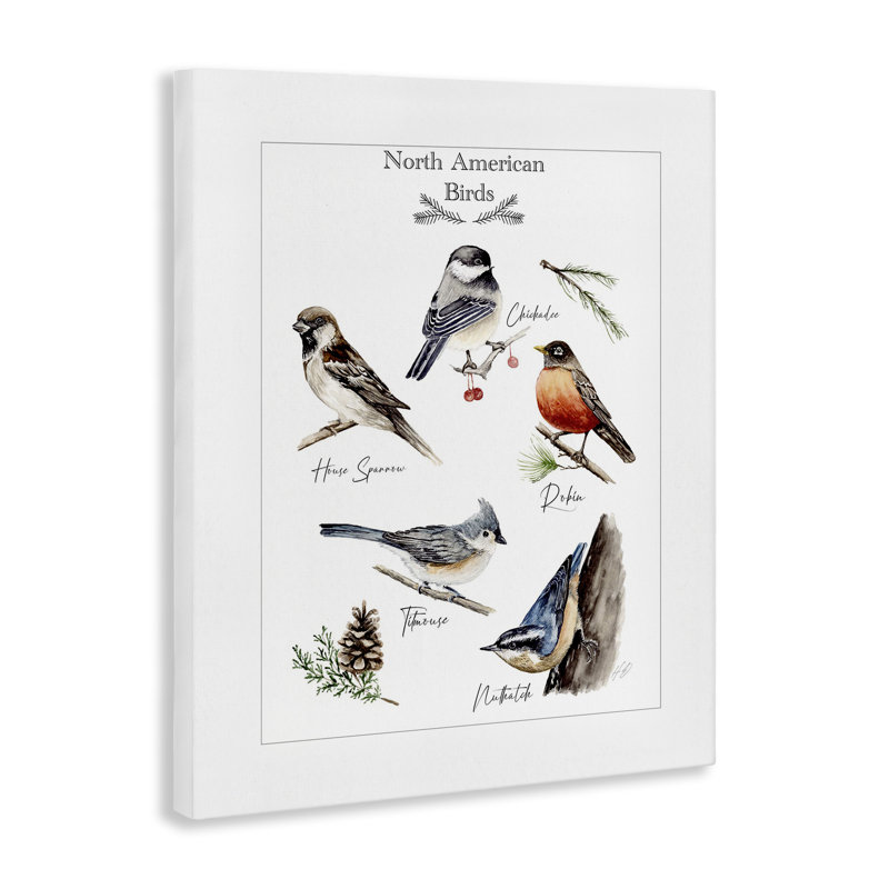 «North American Birds», art mural par Heather Desormeaux, H 20 po x l 16 po