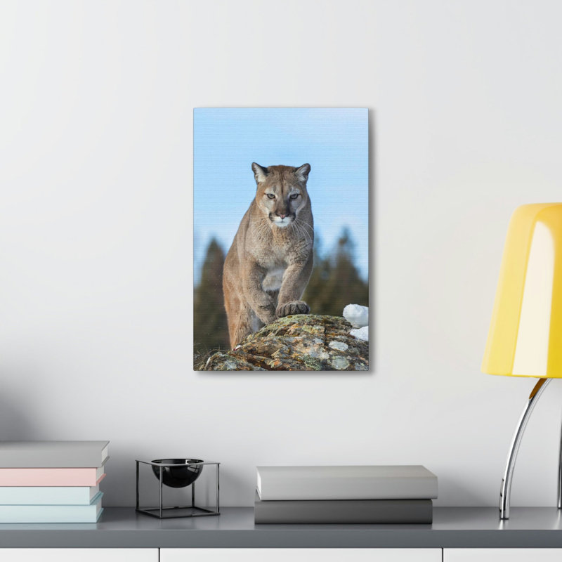 No Frame Print on Canvas, 45.72cm H x 30.48cm W