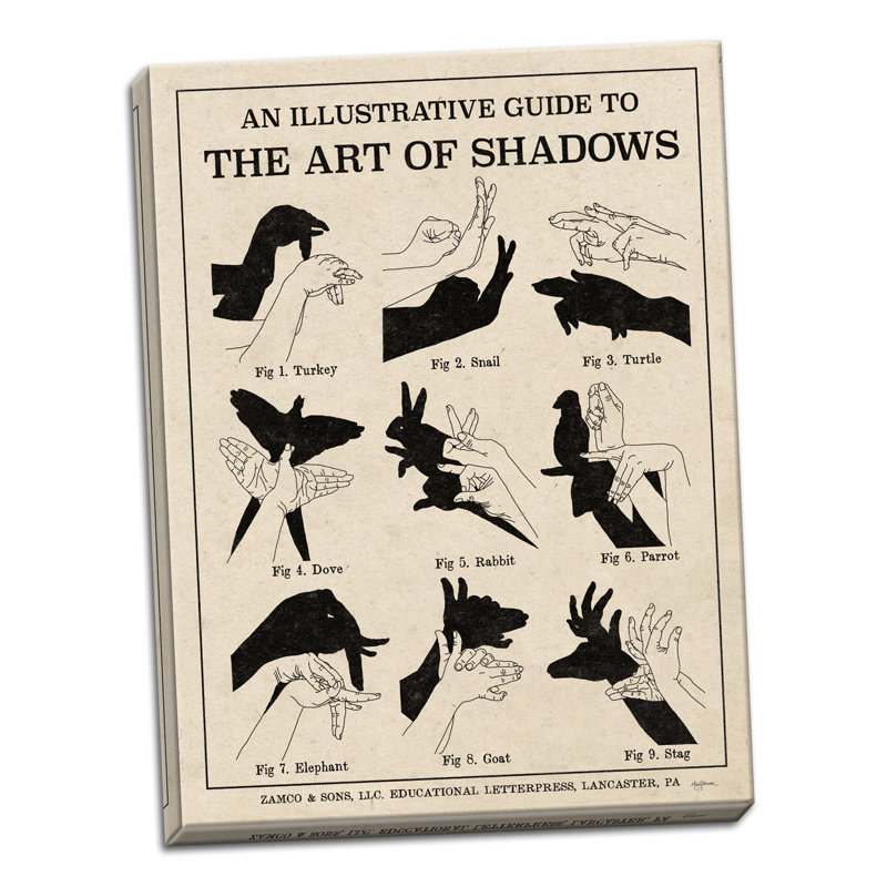 « the art of shadows x », reproduction, H 16 po x l 20 po x P 0,75 po, Toile tendue