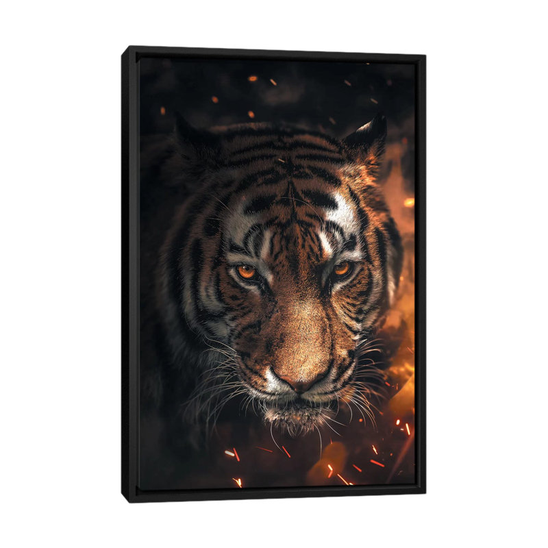 Tiger Sparkles by Zenja Gammer - Print on Canvas, Black Framed, 66.04 cm H x 45.72 cm W