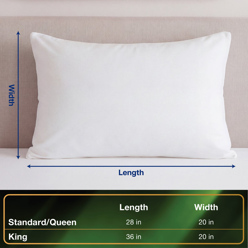 All-in-One Allergy Care Pillow Protector, 2-pack, King, King