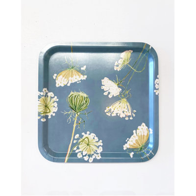 Tray