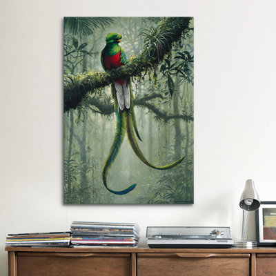 Resplendent Quetzal 2 by Harro Maass Graphic Art on Canvas