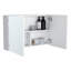 Pharmacie Mansfield, salle de bain-483830377