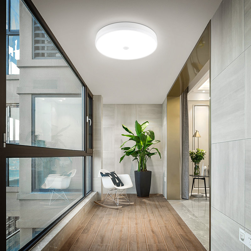 Danyia Silver LED Outdoor Flush Mount
