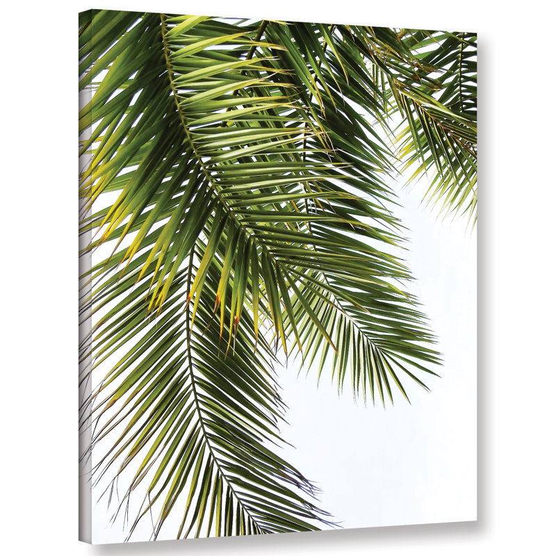 'Palm Leaves' Graphic Art Print on Canvas, 32" H x 24" W x 2" D, Black Floater Frame