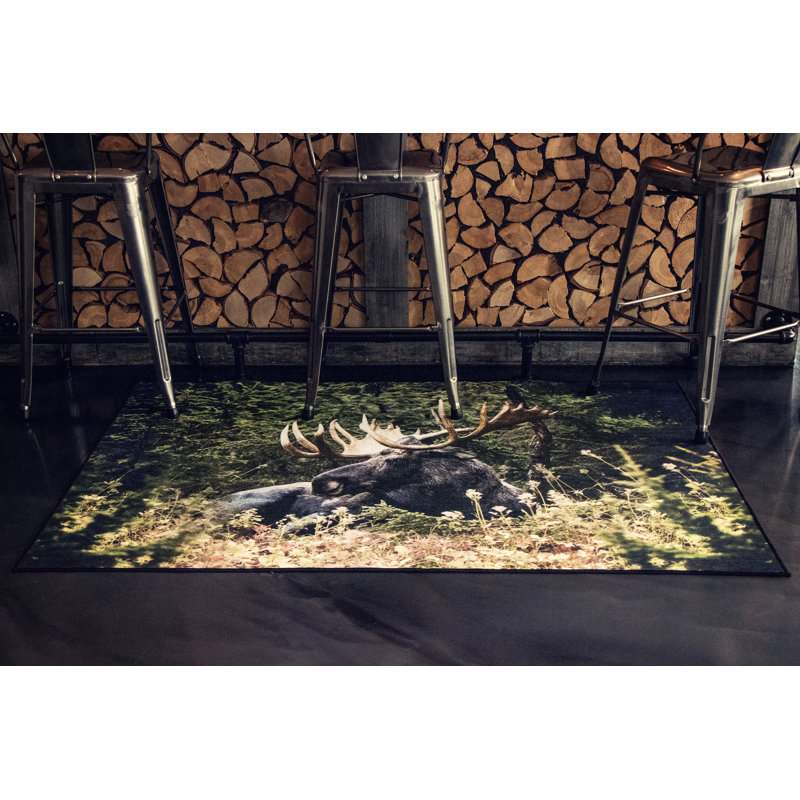 Tapis Moose, Rectangle 5 pi x 7 pi