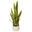 Faux Snake Plant in Cement Pot