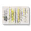 Yellow Birch Tree Forest - Wrapped Canvas Print-56656689