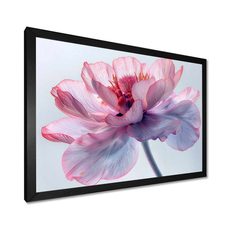 Rose et blanc chaud, souci, art mural, Cadre simple noir, bois massif, H 34 po x l 44 po
