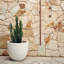 Pot à fleur Dorlis Fiberstone-881441047-809609162