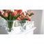 Vase Maison - Transparent-1719780820