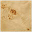 Table basse Burl-129149219