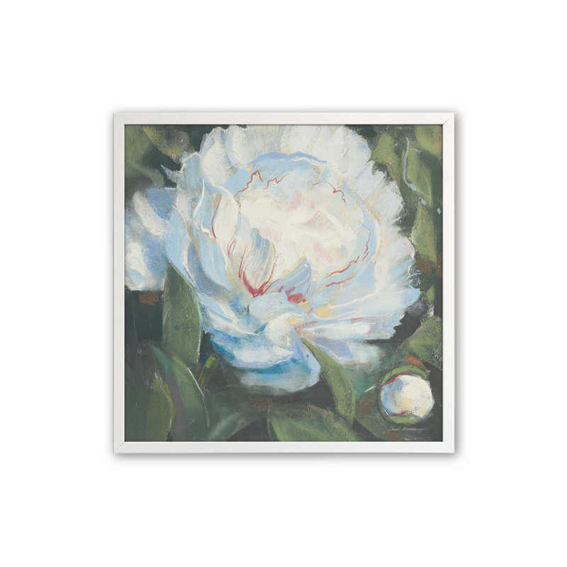 «Peony I» par Carol Rowan, reproduction d'art, H 12 po x l 12 po, Blanc