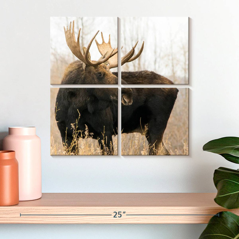 Brampt Wyoming Moose, 18'' H x 18'' W